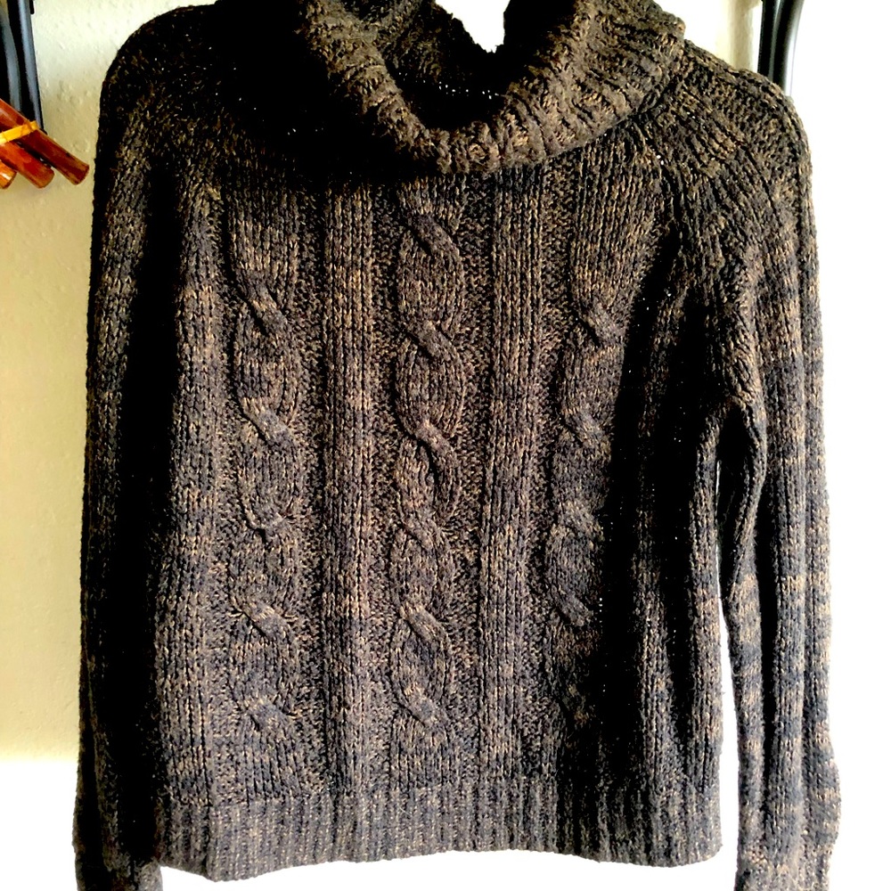 Carol Rose turtle neck cable knit sweater